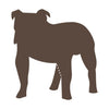 Dog-Bulldog