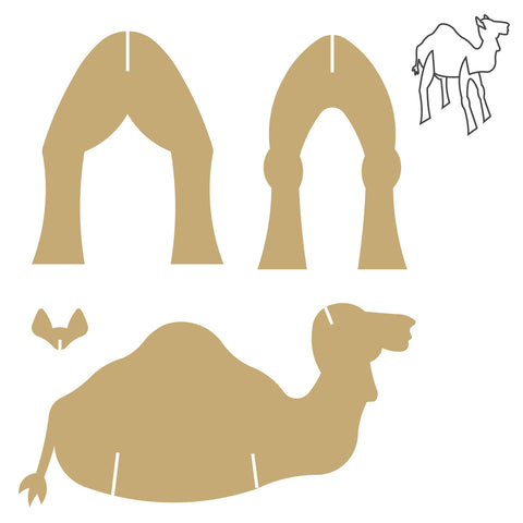 Camel