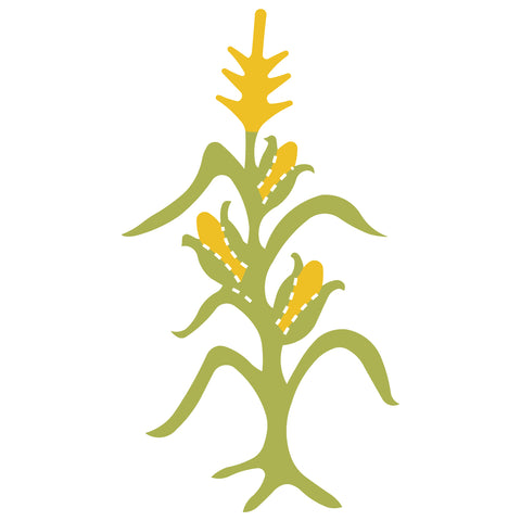 Corn Stalk