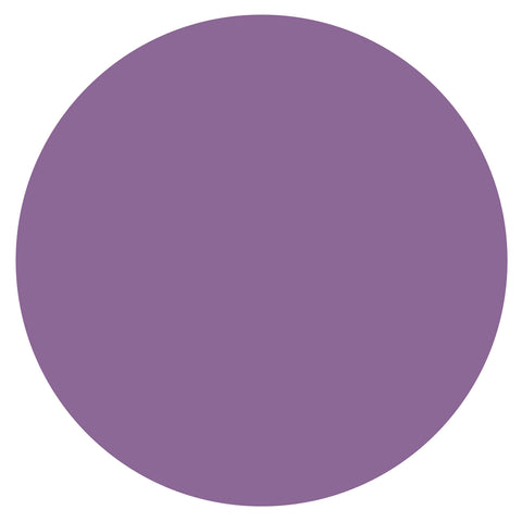 Fraction Circle-Whole