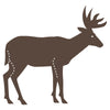 Deer #5