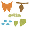 Butterfly Life Cycle Set