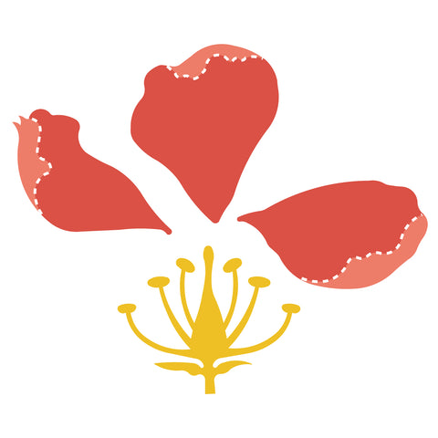 Flower-Cross Section