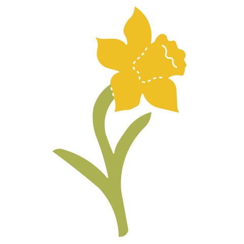 Flower-Daffodil