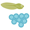 Frog-Eggs & Tadpole