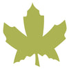 Leaf-Maple #2