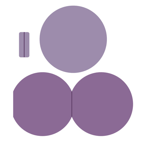 Album-Circle-Accordion