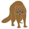 Raccoon #2