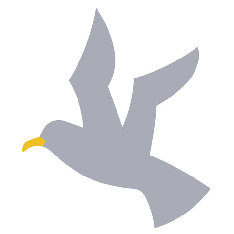 Seagull