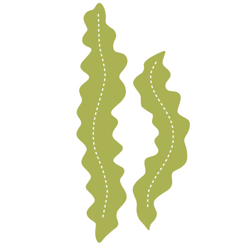 Seaweed #2