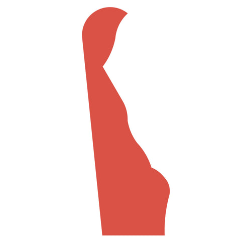 State of Choice-Delaware