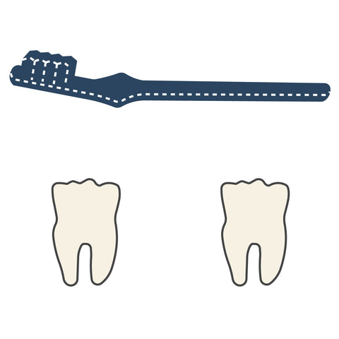 Teeth & Brush