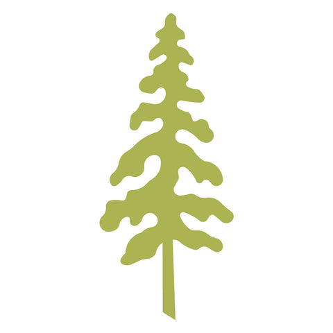 Tree-Fir