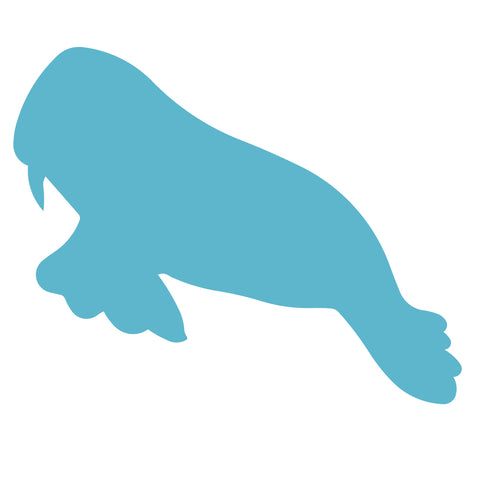 Walrus #1