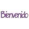 Word-Bienvenido
