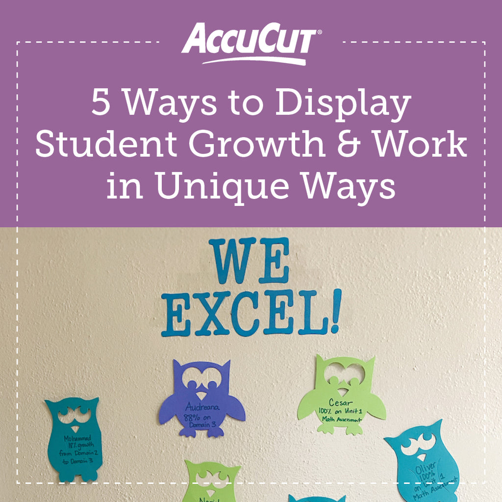 5 Ways to Display Student Growth and Work in Unique Ways β AccuCut