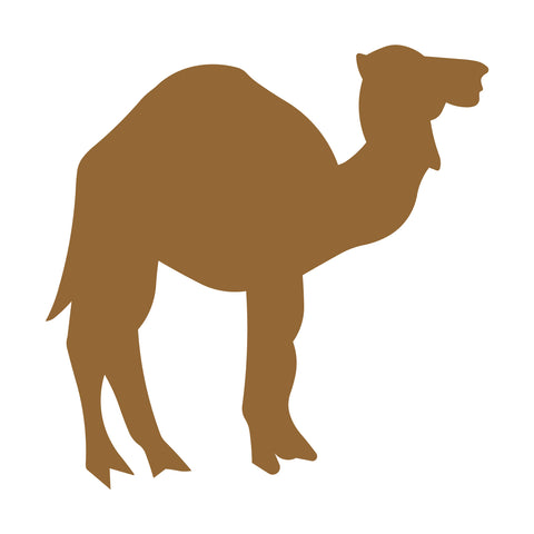 Camel #2