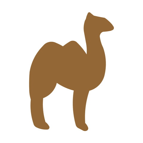 Camel #1