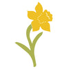 Flower-Daffodil