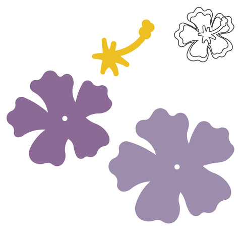 Flower-Hibiscus
