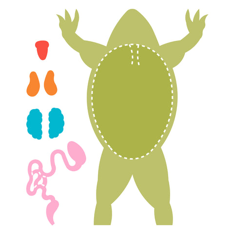 Frog-Diagram