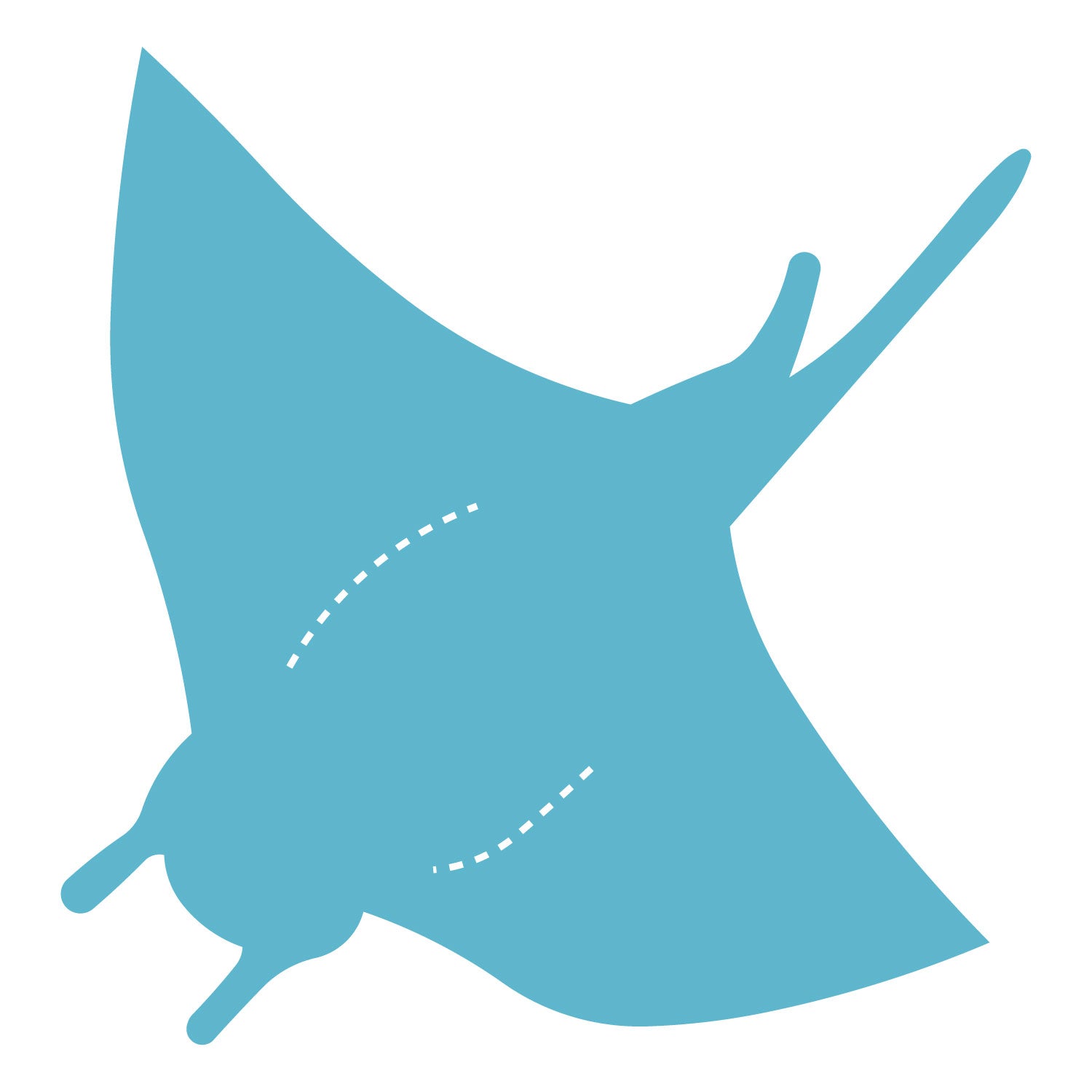 Manta Ray – AccuCut