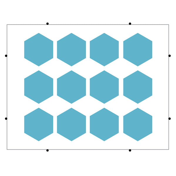 Seals-Hexagon-2