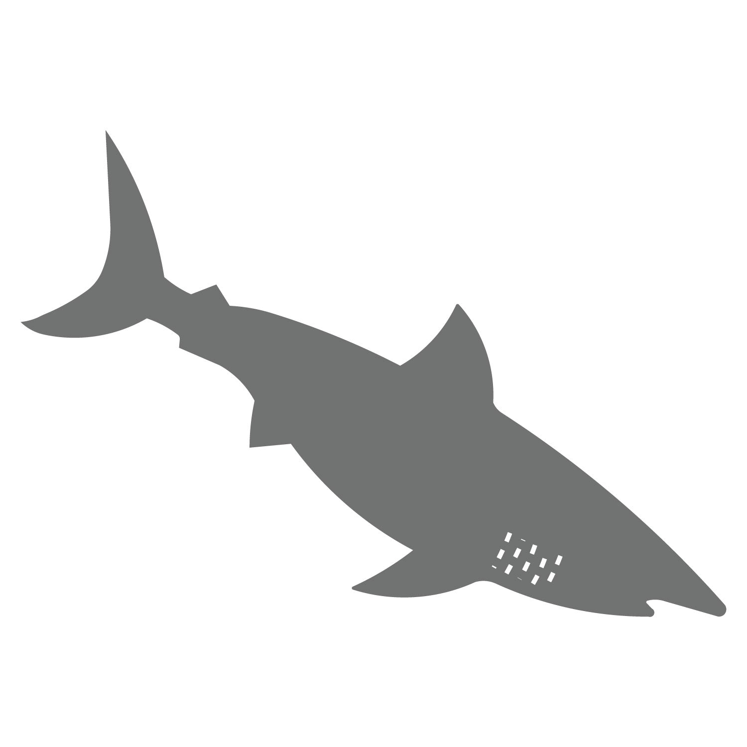 Shark　#1　–　AccuCut