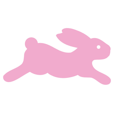 Rabbit #5